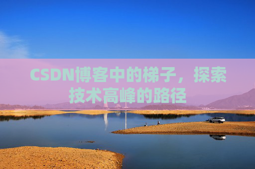 CSDN博客中的梯子，探索技术高峰的路径